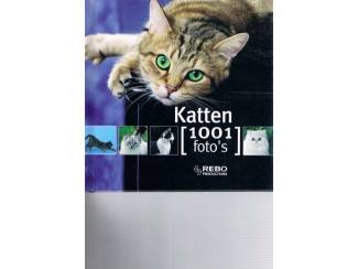 Katten – 1001 foto's